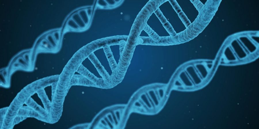 Будущее искусственного оплодотворения и генной модификации